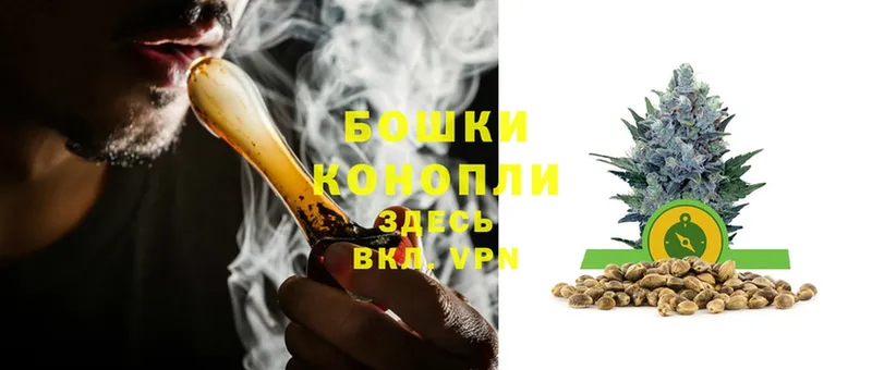 закладки  Новодвинск  Шишки марихуана сатива 